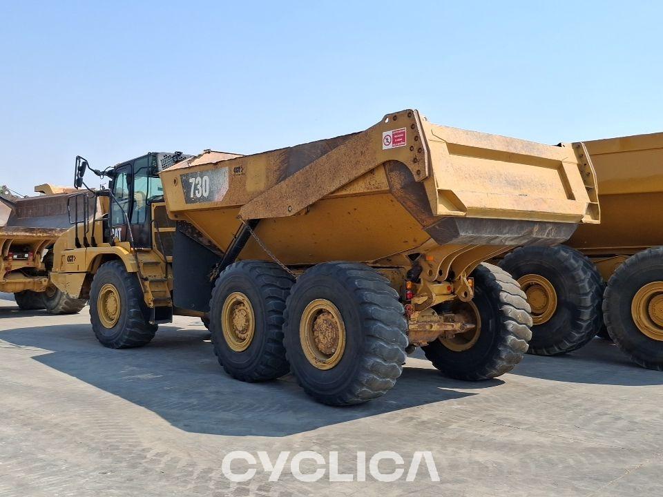Dumper e autoarticolati  730 3T300271 - 4