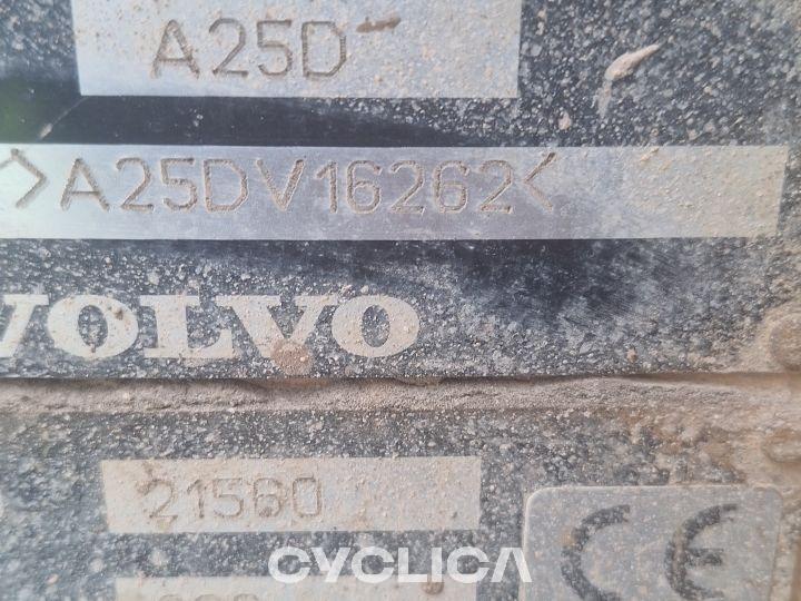 Dumpers e caminhões articulados A25D V16262 - 7