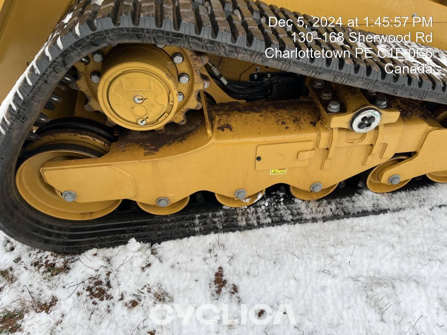 Skid steers  259D3 CW927552 - 11