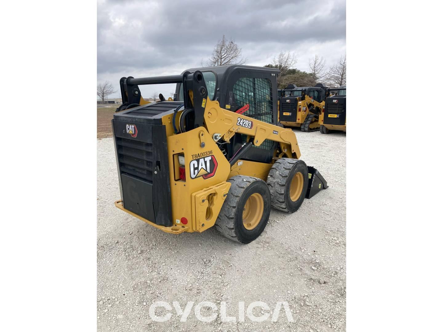 Skid steers  242D3 T8A00336 - 4