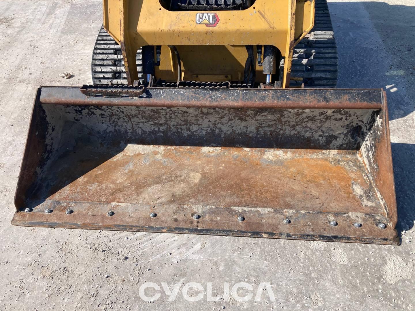 Skid steers  259D3 CW928429 - 15