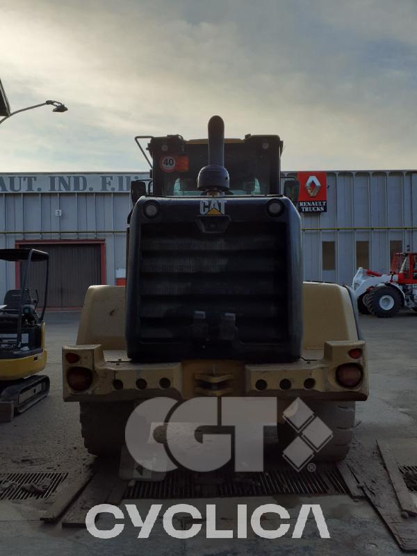 Pale gommate  926M LTE06003 - 4