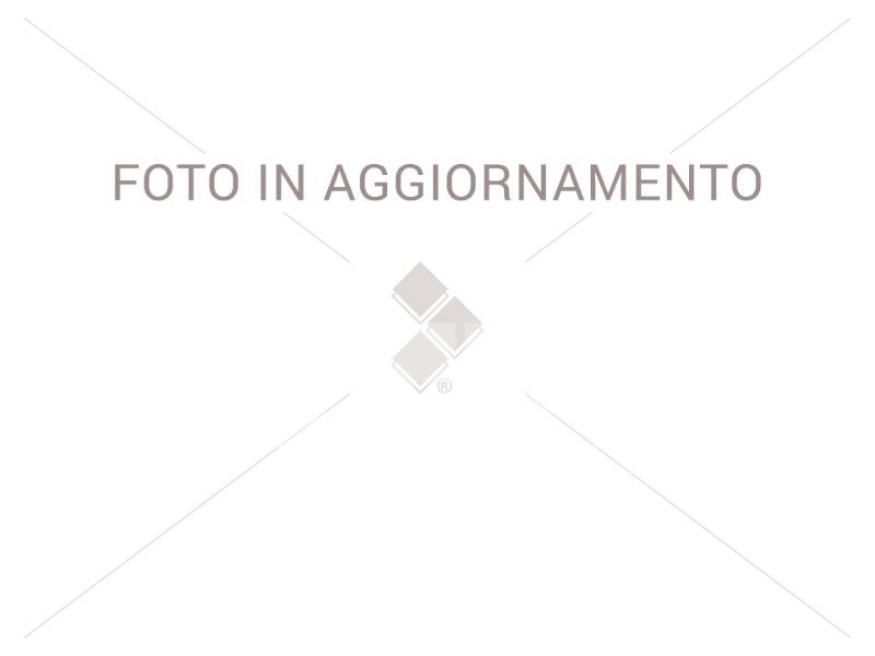 Utovarivači na kotačima  950M XCJ20330 - 2