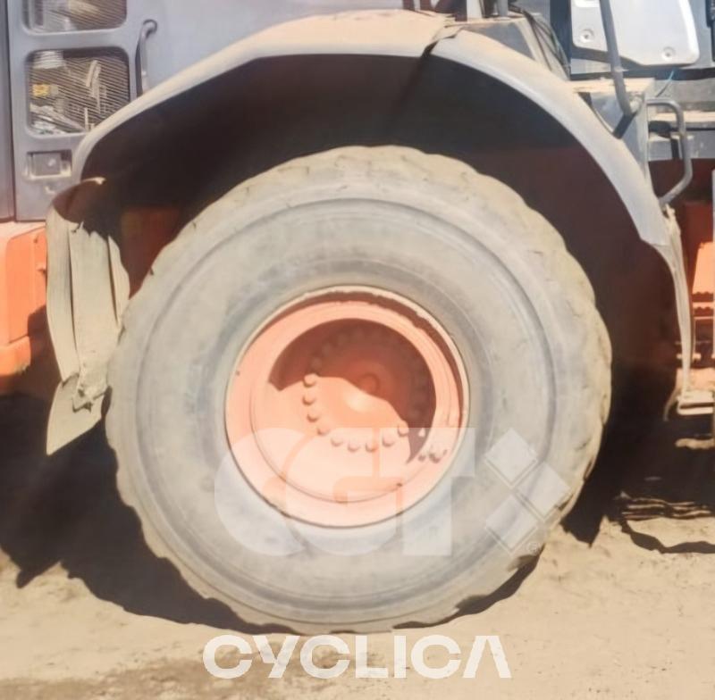 Pale gommate ZW250 C00000### - 7