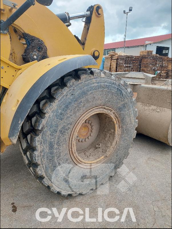 Pale gommate 926M LTE02### - 8