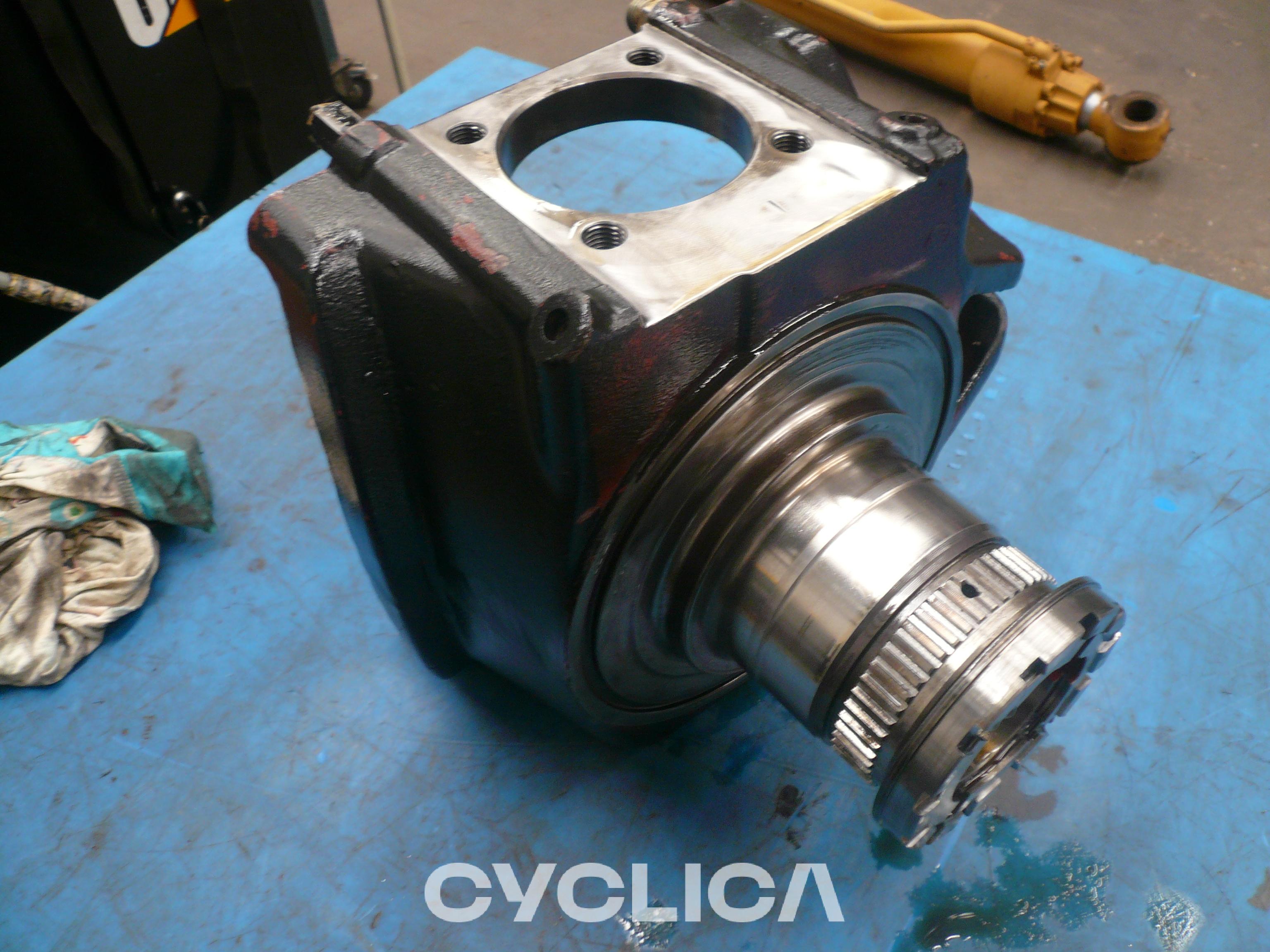 Grupe fuqie  SIN EQUI 1217669 - 1