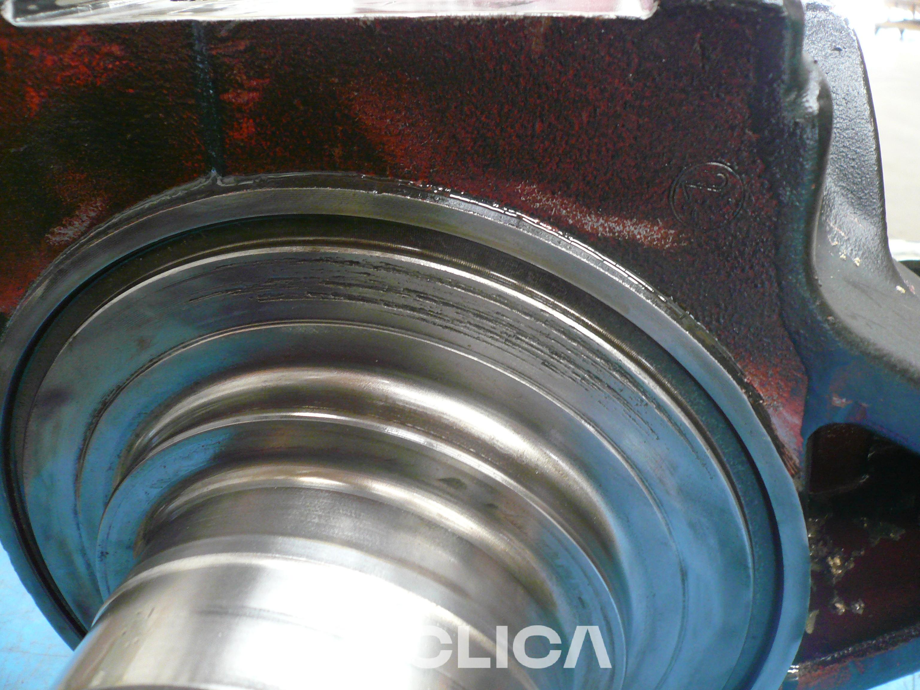 Grupe fuqie  SIN EQUI 1217669 - 3