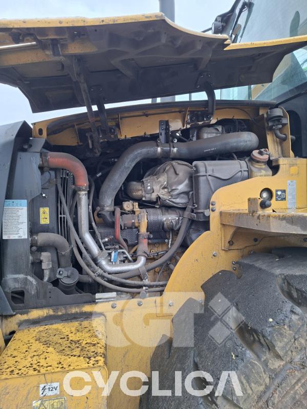 Pale gommate  920 SL400779 - 5