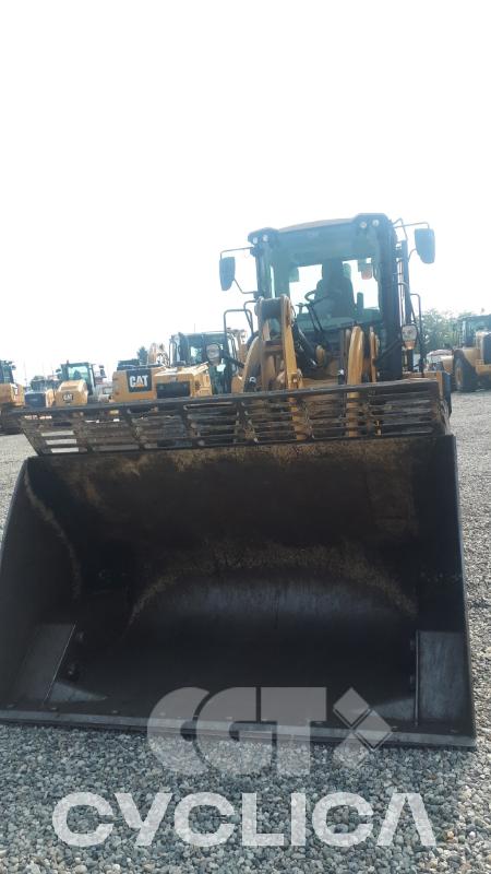 Palas cargadoras de ruedas  926M LTE08177 - 3