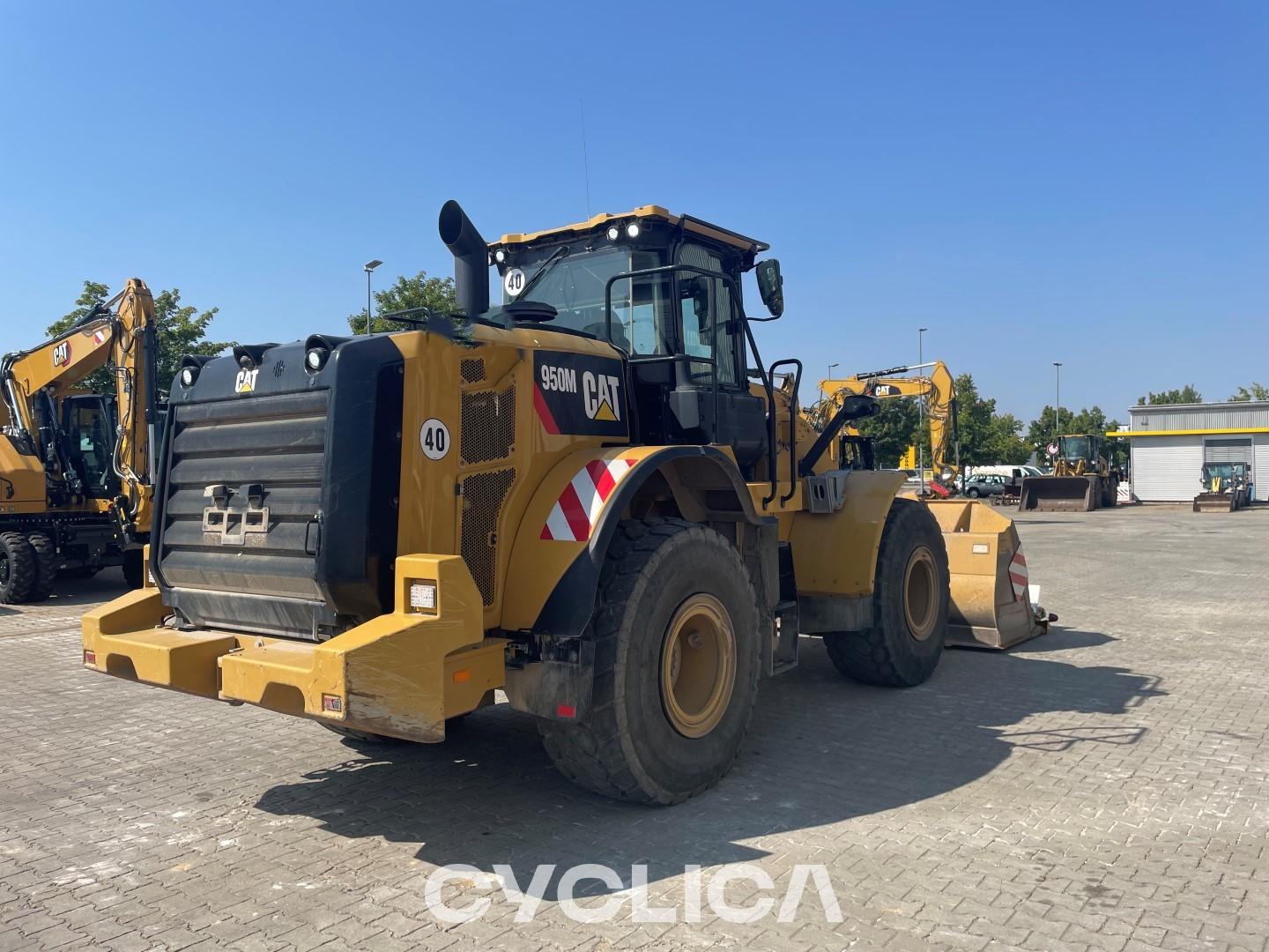 Chargeuses sur pneus  950M XCJ20285 - 6