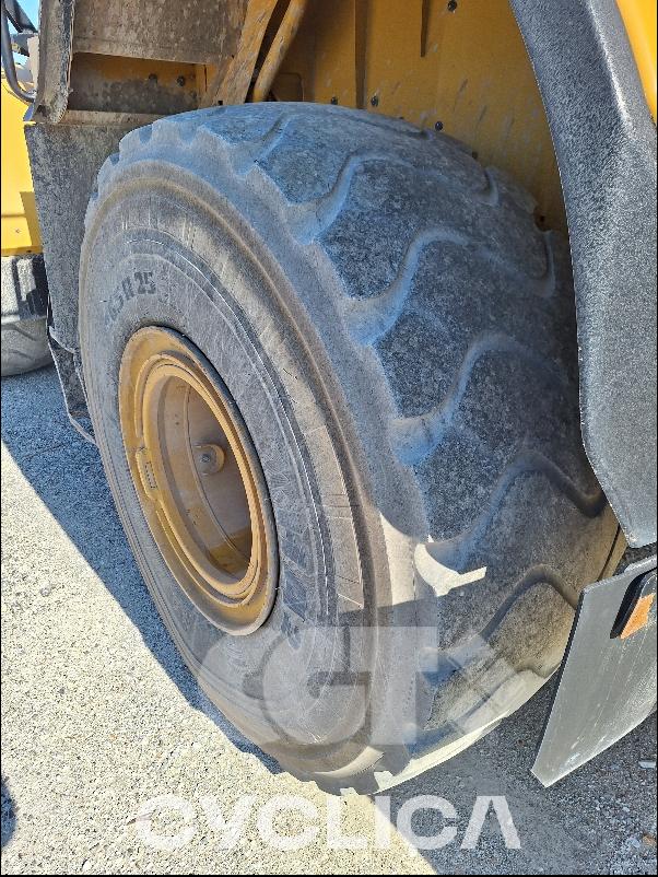 Pale gommate  966M XE FL200224 - 9