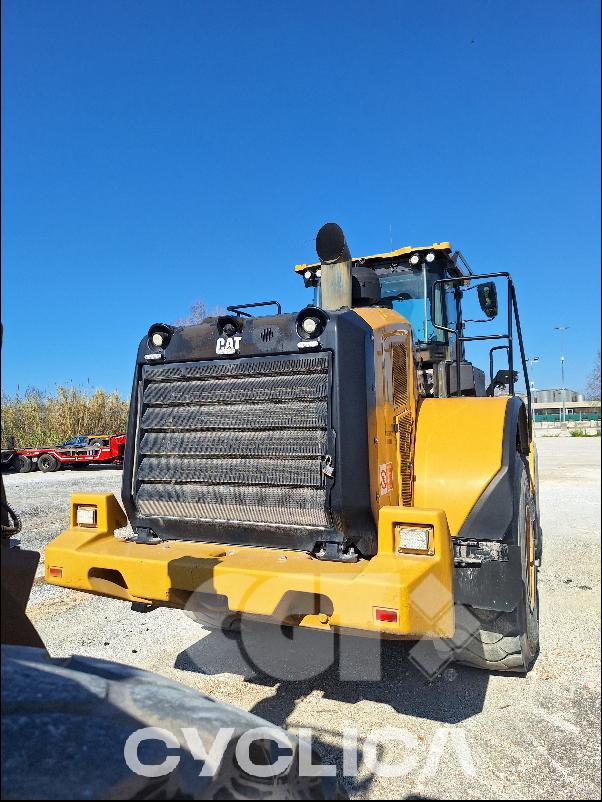 Pale gommate  966M XE FL200224 - 3