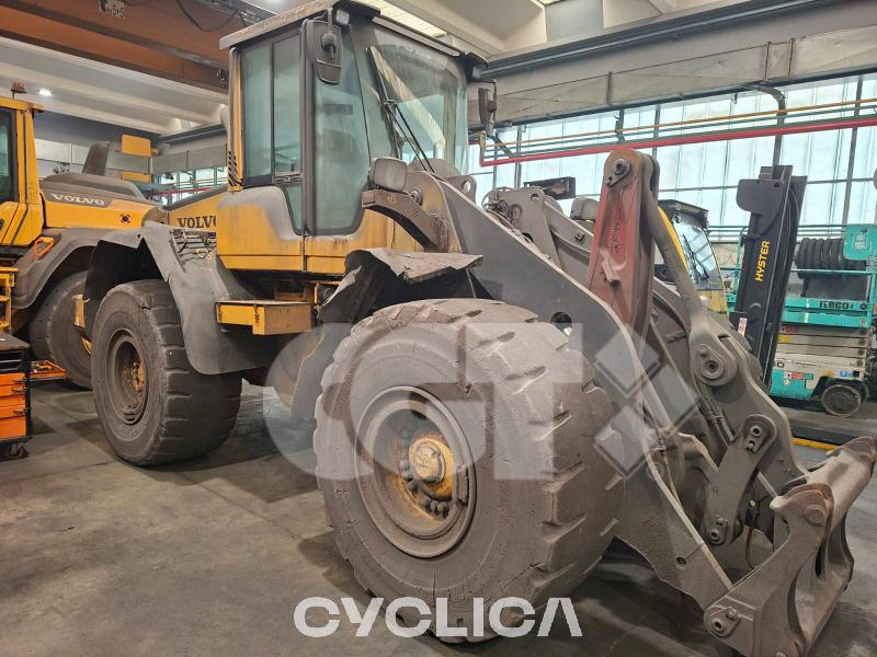 Pale gommate  L110F 004### - 1