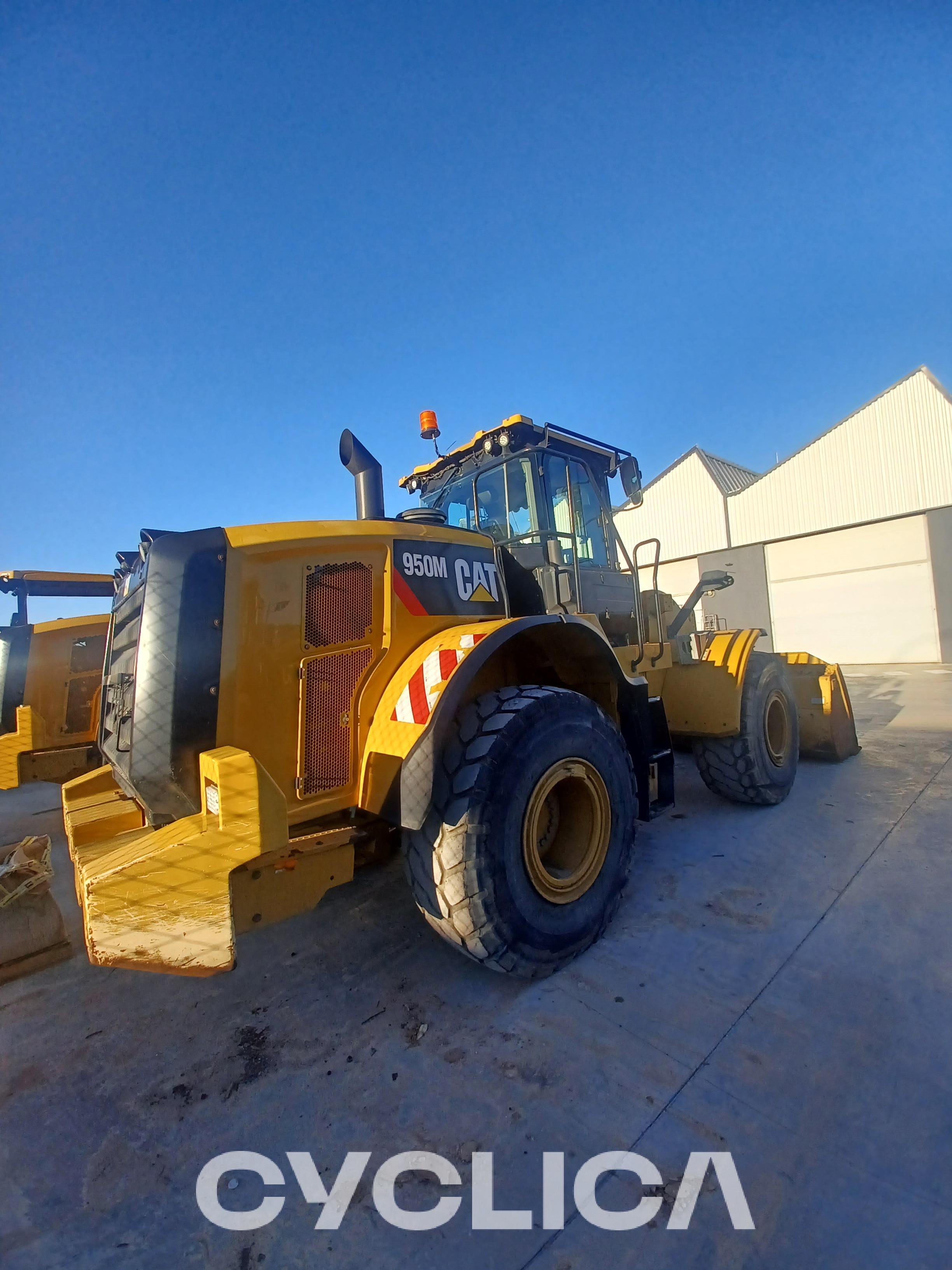 Chargeuses sur pneus  950M XCJ20280 - 3