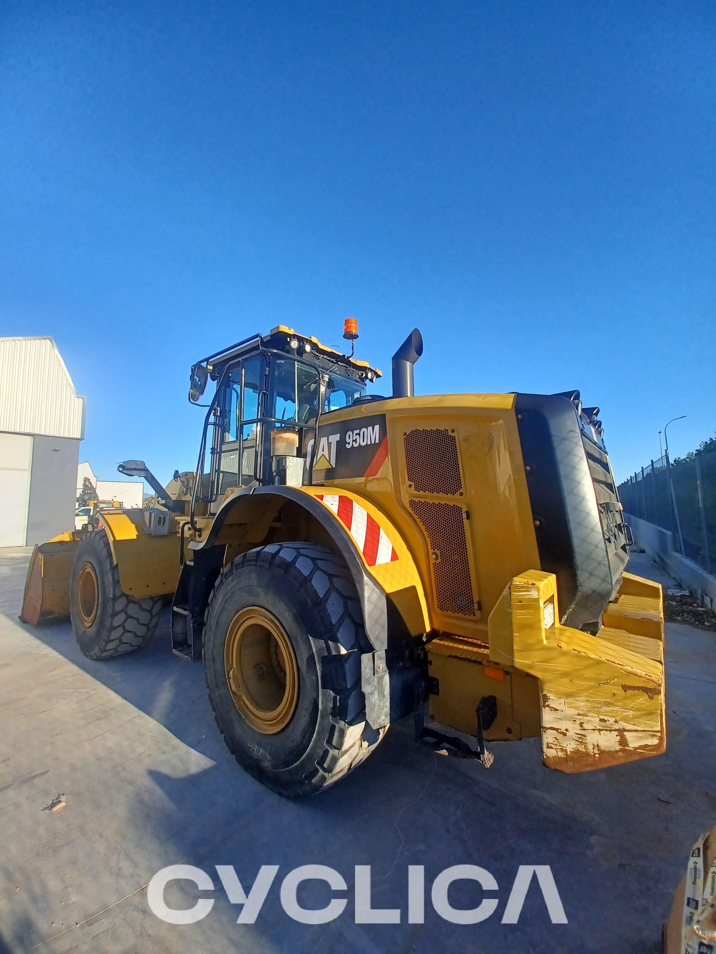 Chargeuses sur pneus  950M XCJ20280 - 4