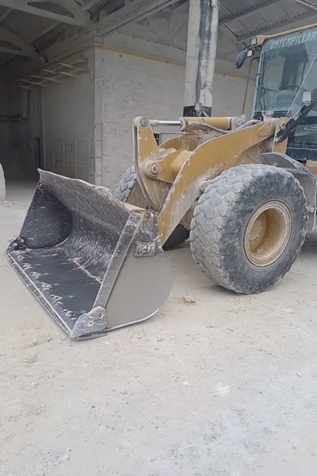 Pale gommate  924G WGX00879 - 1