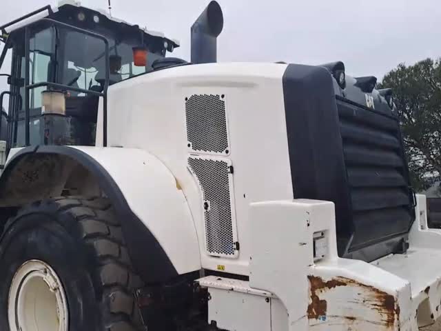 Pale gommate  972MXE R1Z00501 - 1