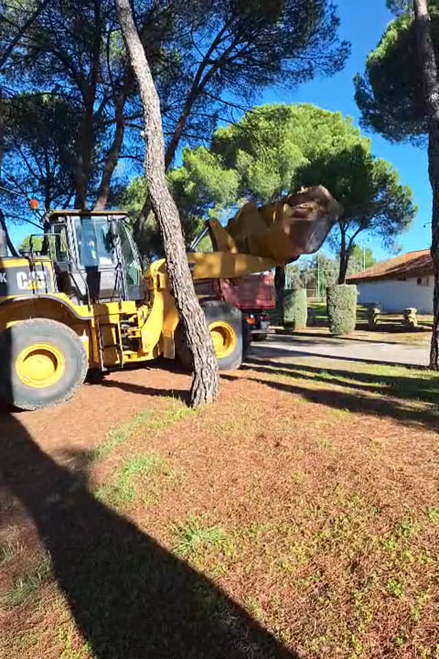 VID_equipo_trabajando_20241204T104036758.mp4