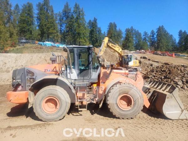 Pale gommate  ZW250 C00000###