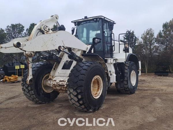 Pale gommate  972MXE R1Z00501