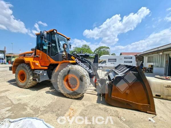 Wheel loaders  DL250 5050349